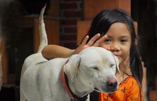 世界狂犬病日：9月28日